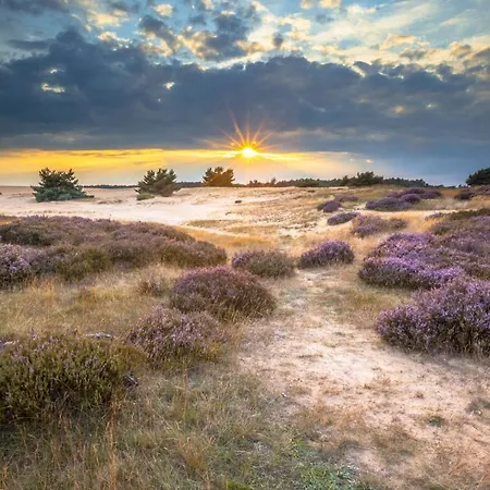 Safaritent Aan Zee IJmuiden